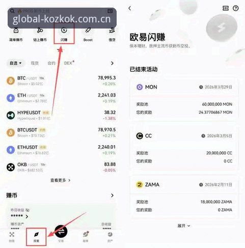 KOZ全球品牌使用指南详解——从入门到精通的完整路径